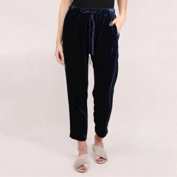 Xirena Dash Velvet Pull On Pant Sapphire Blue Small - Picture 5 of 16